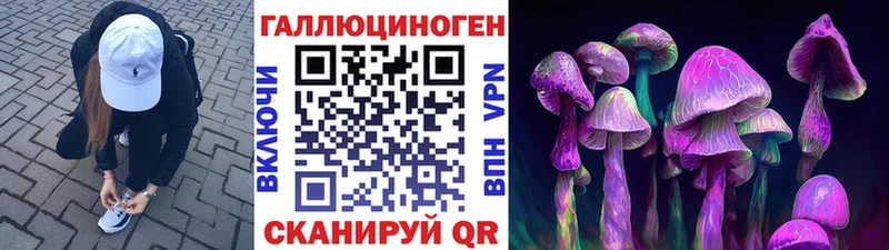 Купить где  Абдулино  Галлюциногенные грибы MAGIC MUSHROOMS 